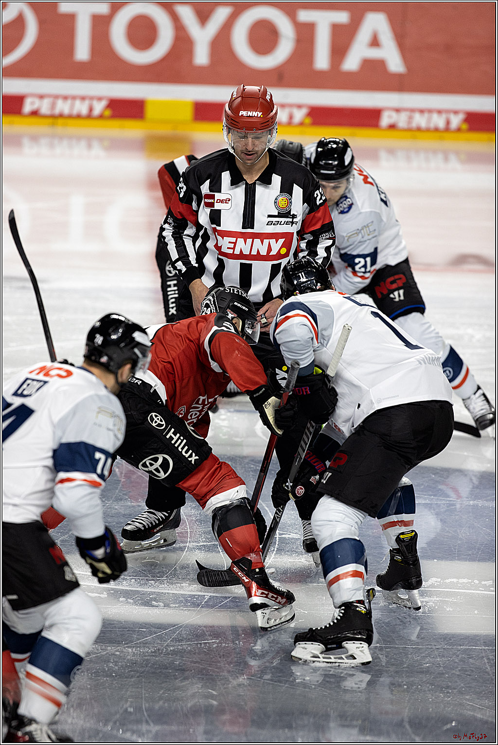 PENNY DEL;  Koelner Haie - Nuernberg Ice Tigers; Koeln, 03.12.2021